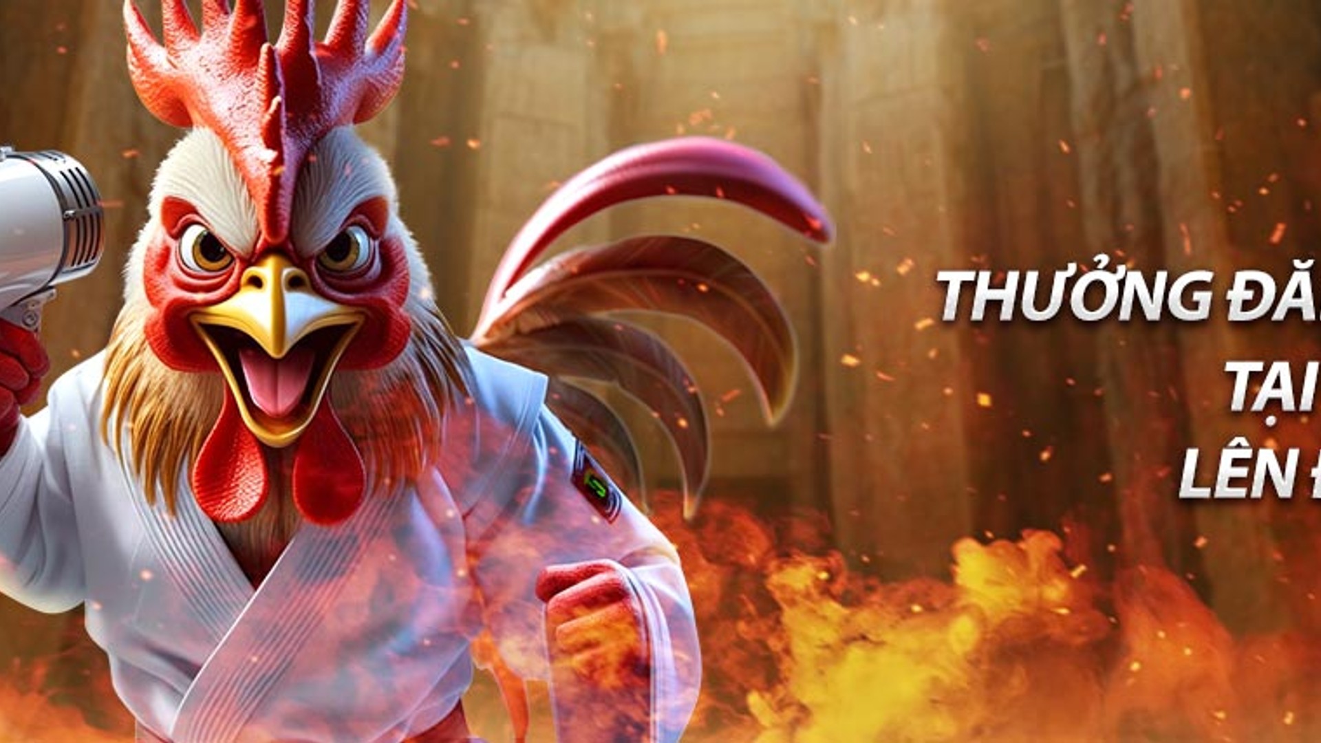 Hình ảnh ưu đãi đối tác độc quyền của go8