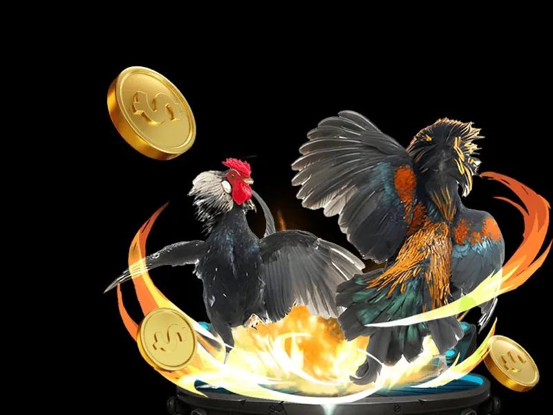 Giới thiệu go8 bằng lời nói